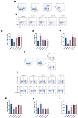 Cang-ai volatile oil alleviates nasal inflammation via Th1/Th2 cell imbalance regulation in a rat model of ovalbumin-induced allergic rhinitis